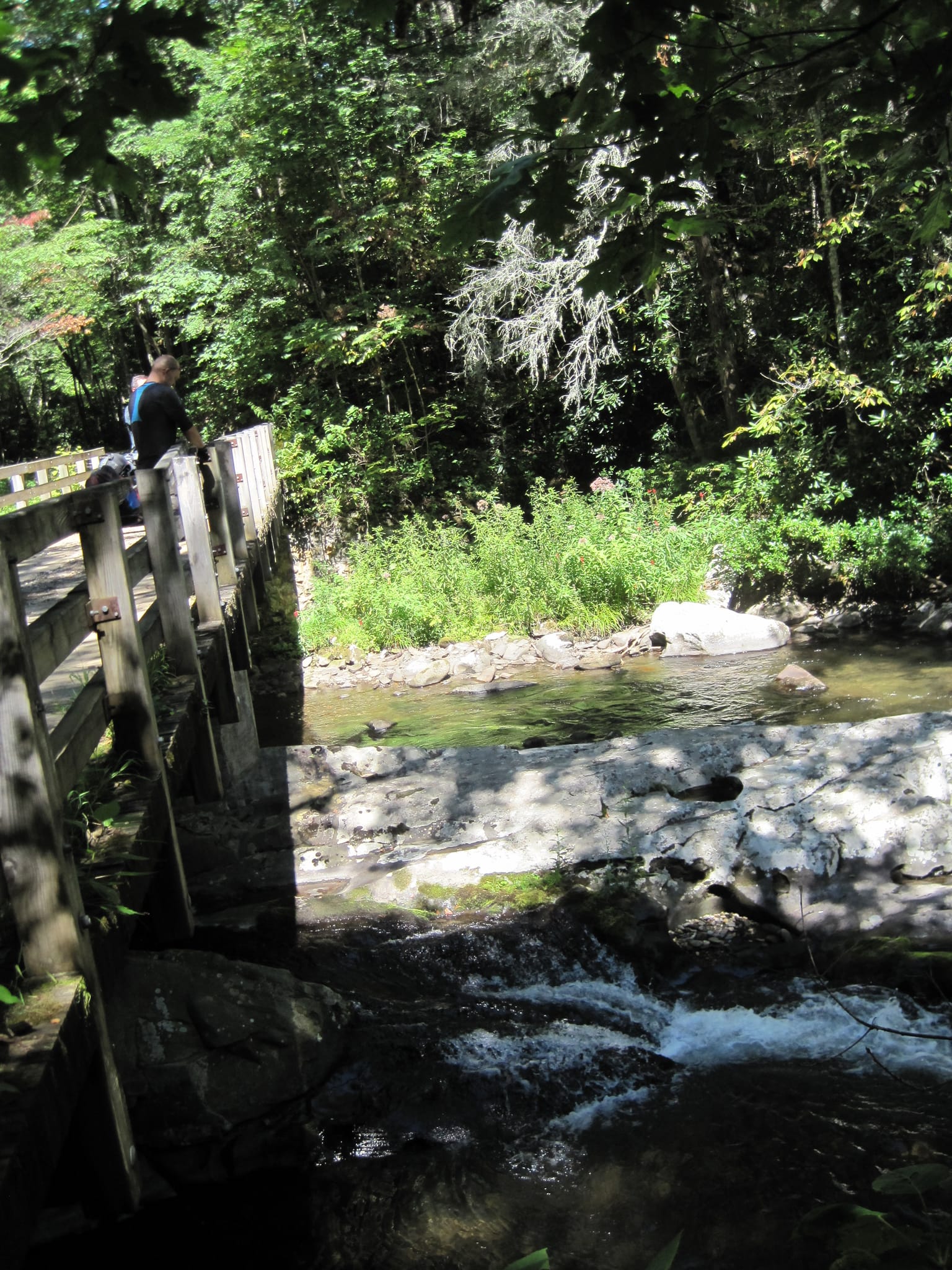 Hazel Creek Hike - Great Smoky Mountains, NC 243
