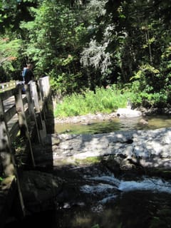 Hazel Creek Hike - Great Smoky Mountains, NC 243