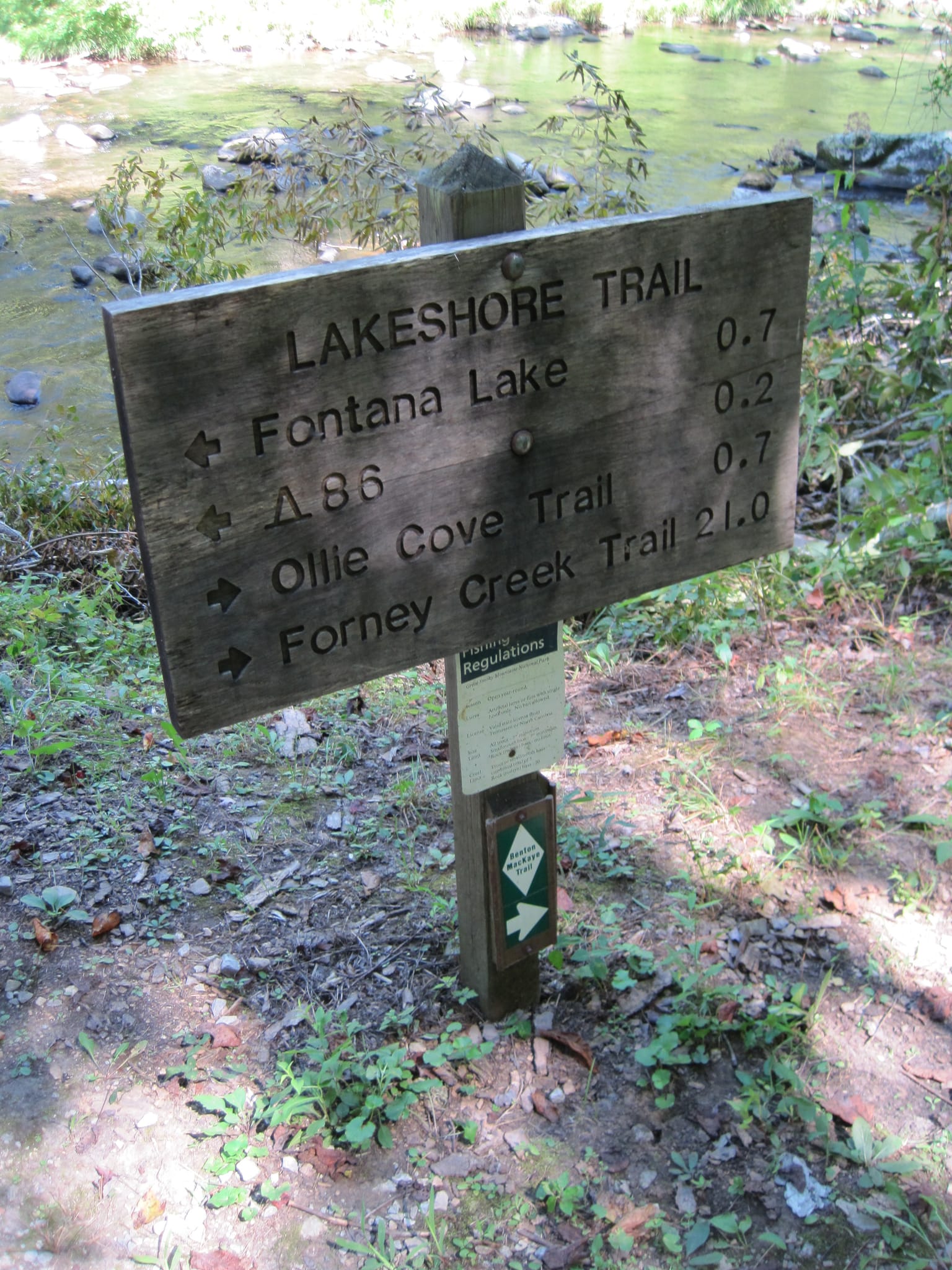 Hazel Creek Hike - Great Smoky Mountains, NC 250
