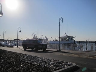 Jersey harbor
