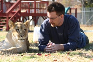 Chris contemplates his proximity to an 8 month old Lion