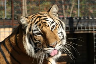 IMG_1840