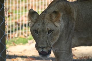 IMG_1764
