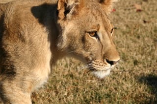 IMG_1537