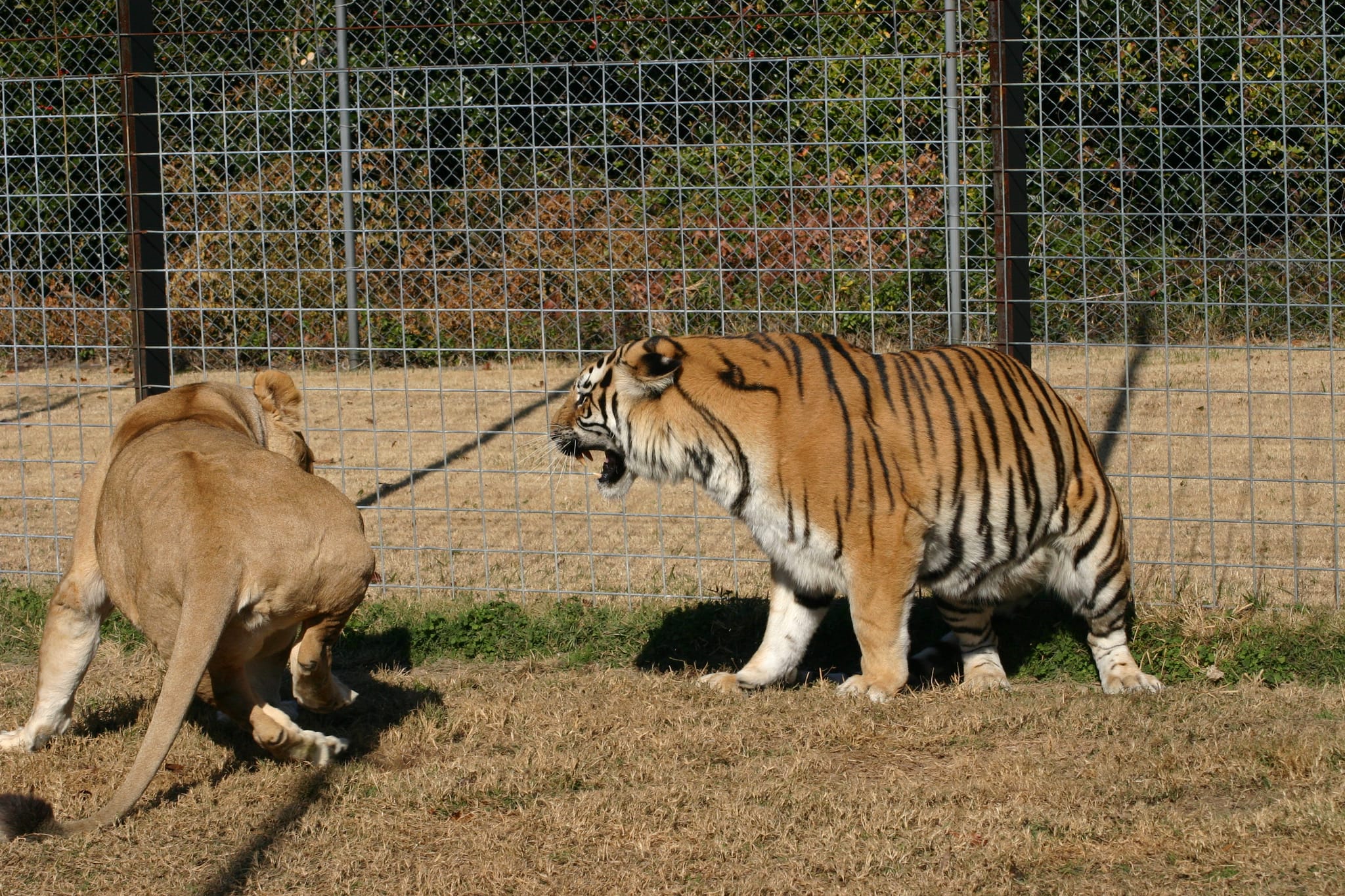 Back Off!