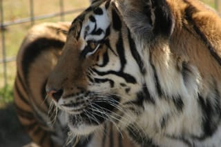 IMG_1902