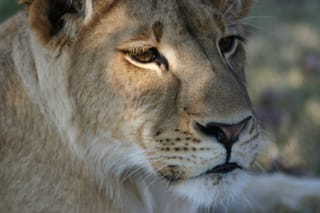 IMG_1829