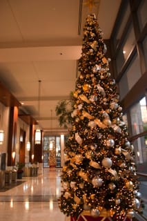 Wachovia-Tree