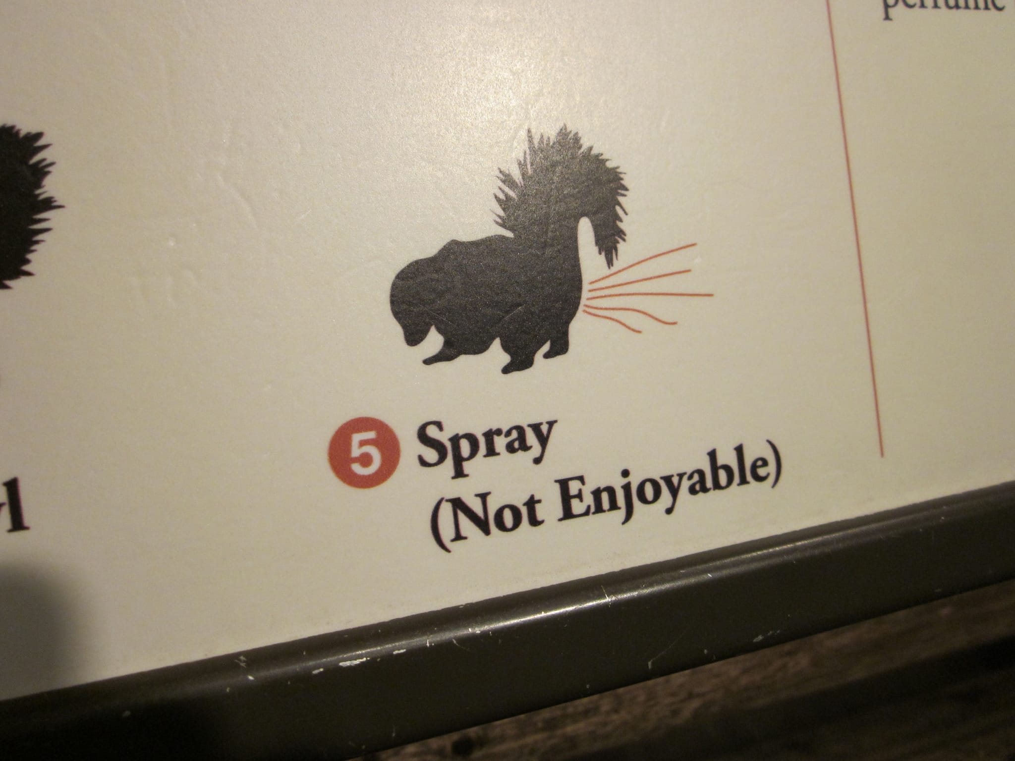 Skunk spray (Not Enjoyable) Charleston Aquarium