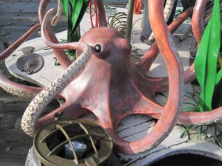 Octopus art