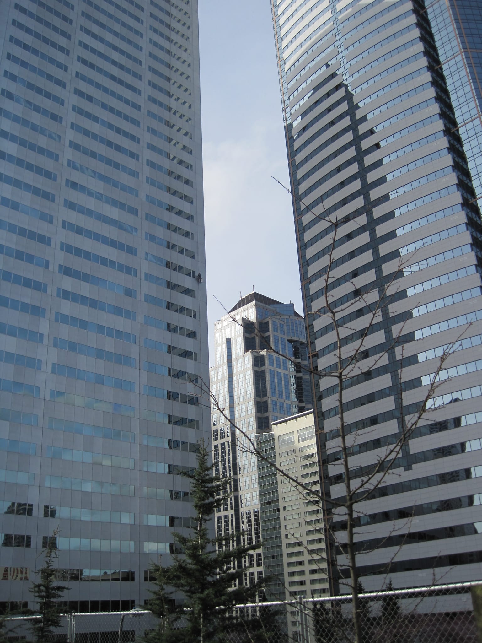 View of buildings from Freeway Park, Seattle, WA