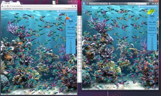 Chrome vs. IE9 RC - Fish Tank