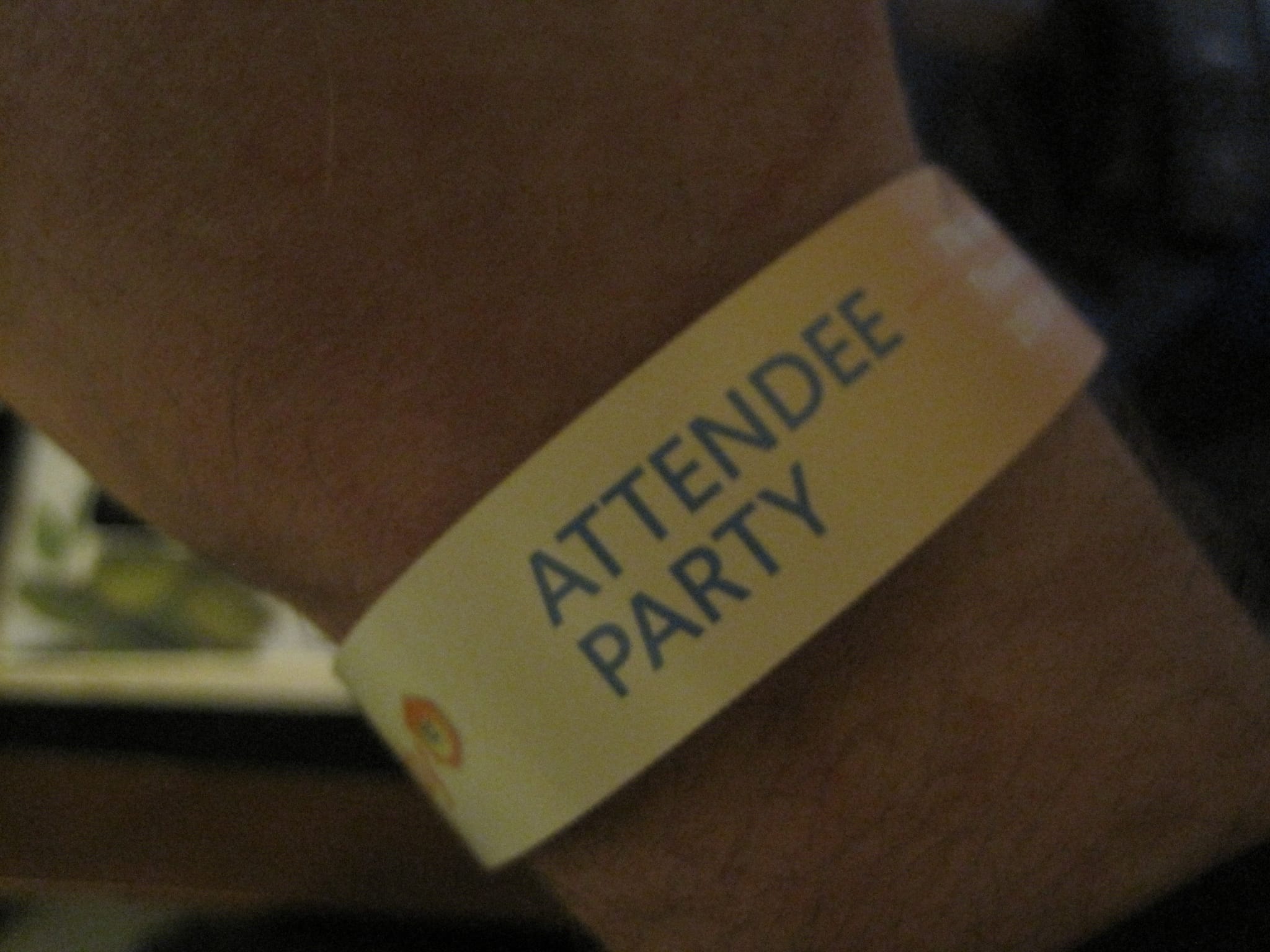Microsoft TechEd Attendee Party bracelet