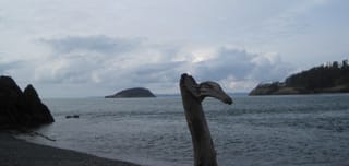 Loch Ness, Deception Pass, WA