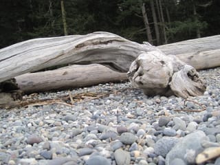 Logs - West Beach, Deception Pass, WA