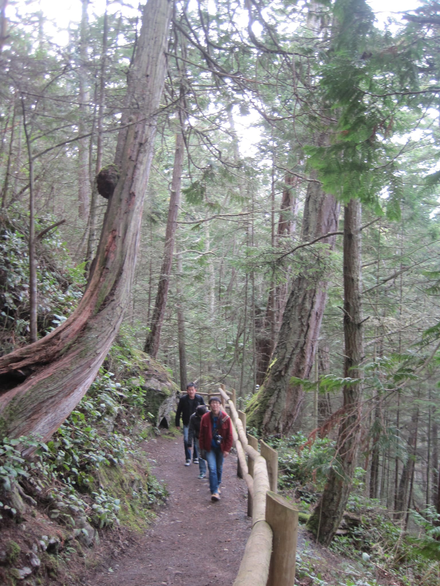 On the trail from West Beach at Deception Pass