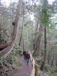 On the trail from West Beach at Deception Pass