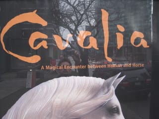 Cavalia - slogan fail - Vancouver, BC