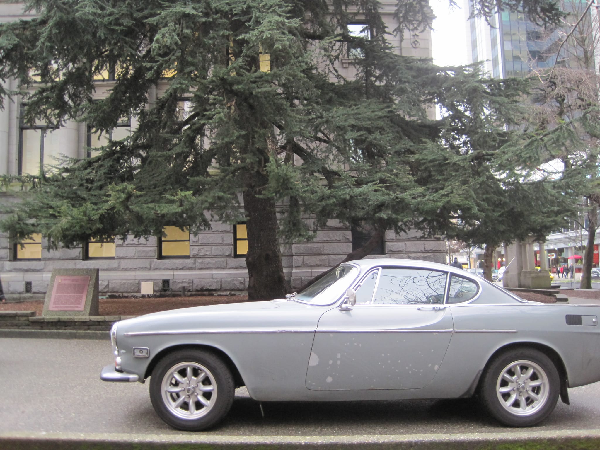 Pretty car and tree - Vancouver, BC