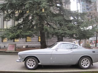 Pretty car and tree - Vancouver, BC