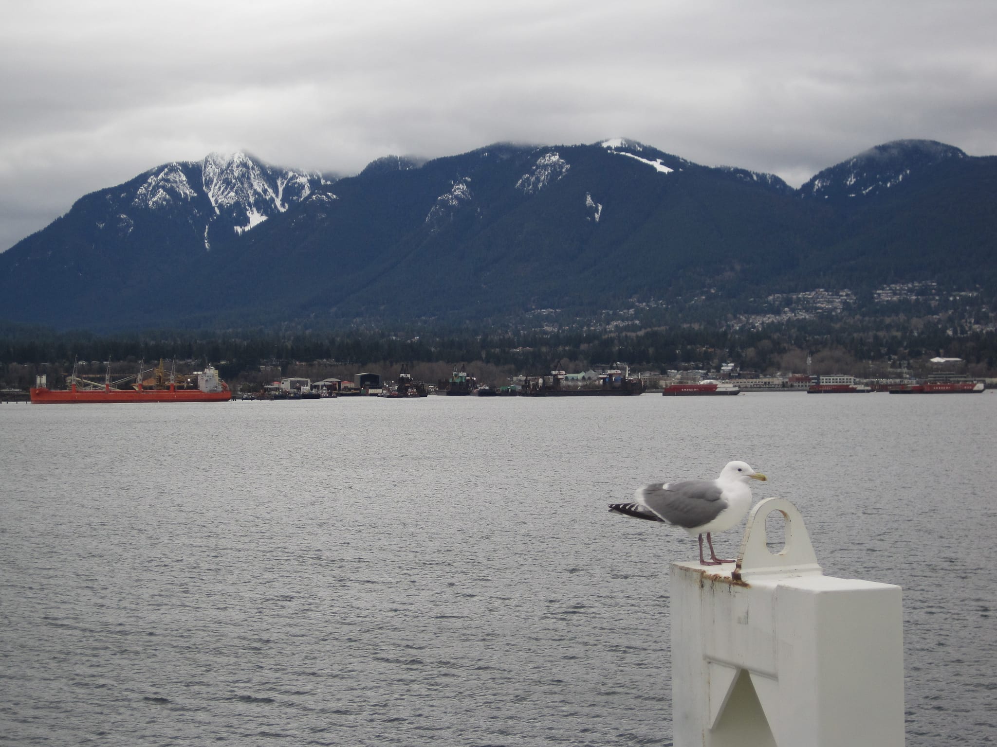 Last day in Vancouver 27