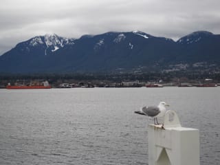 Last day in Vancouver 27