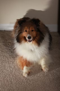 Roxy