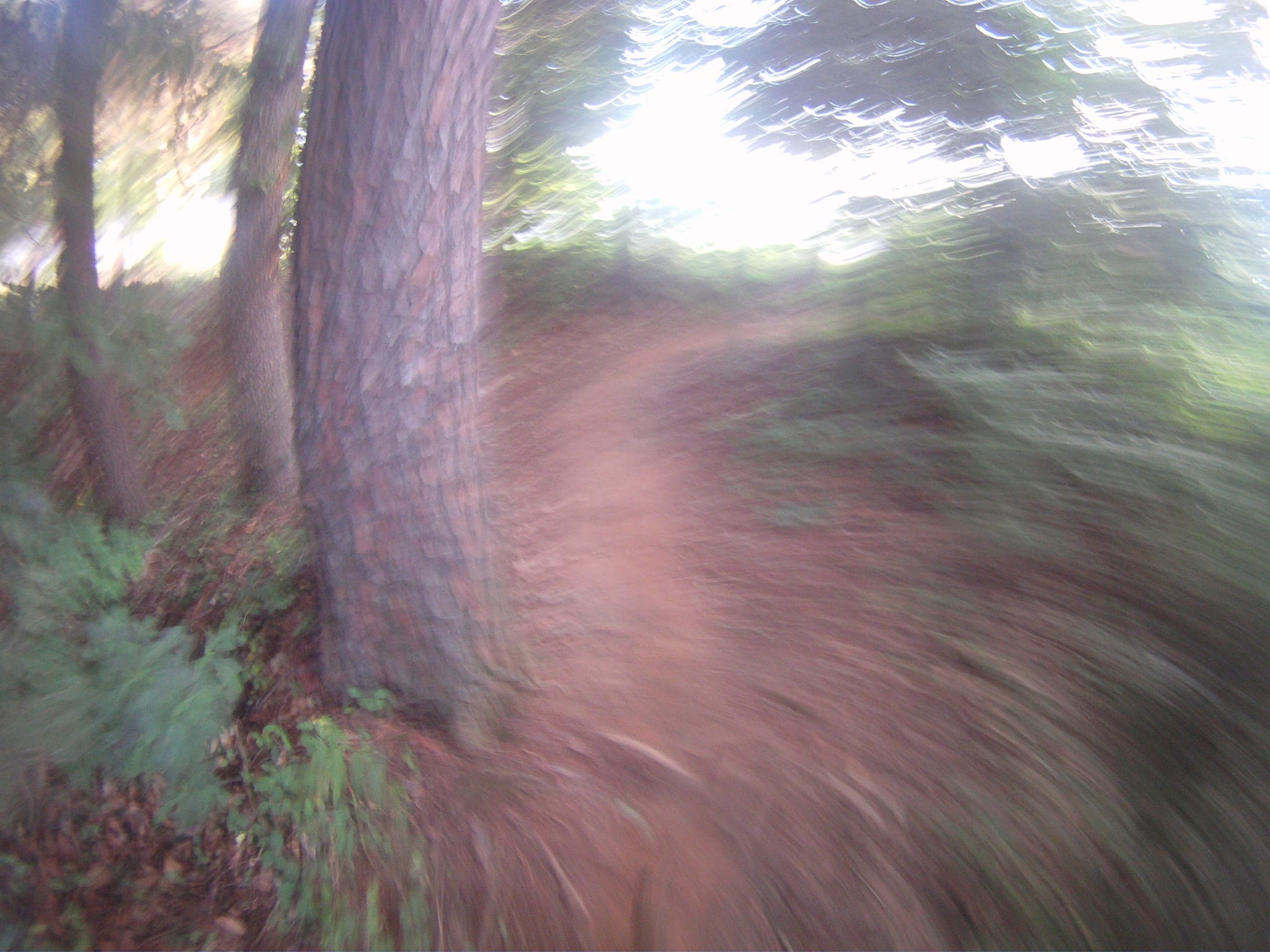 Slightly muddy ride 3