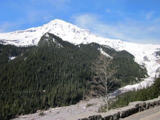 IMG_0138