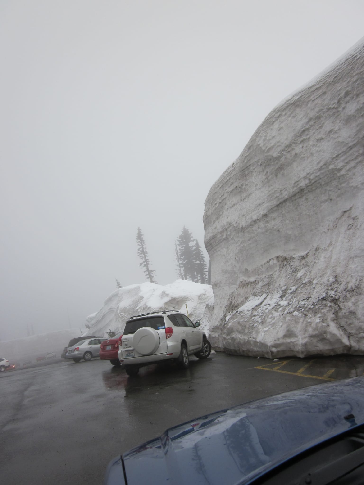 Now that is a snow burm. Paradise