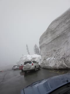 Now that is a snow burm. Paradise