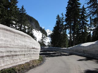 IMG_0123