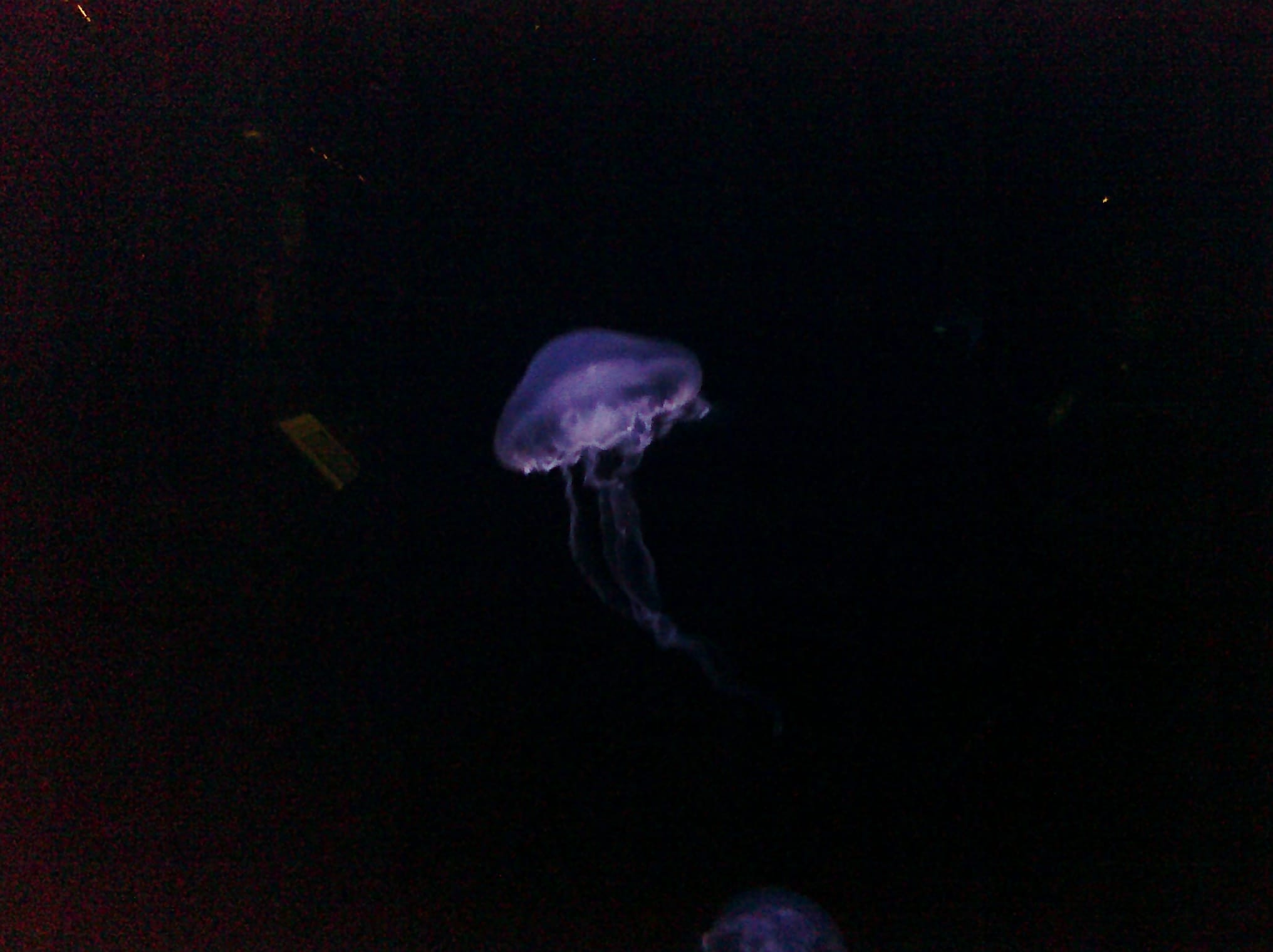 CIMG0096
