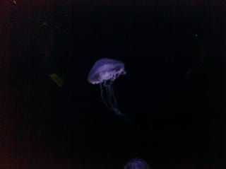 CIMG0096