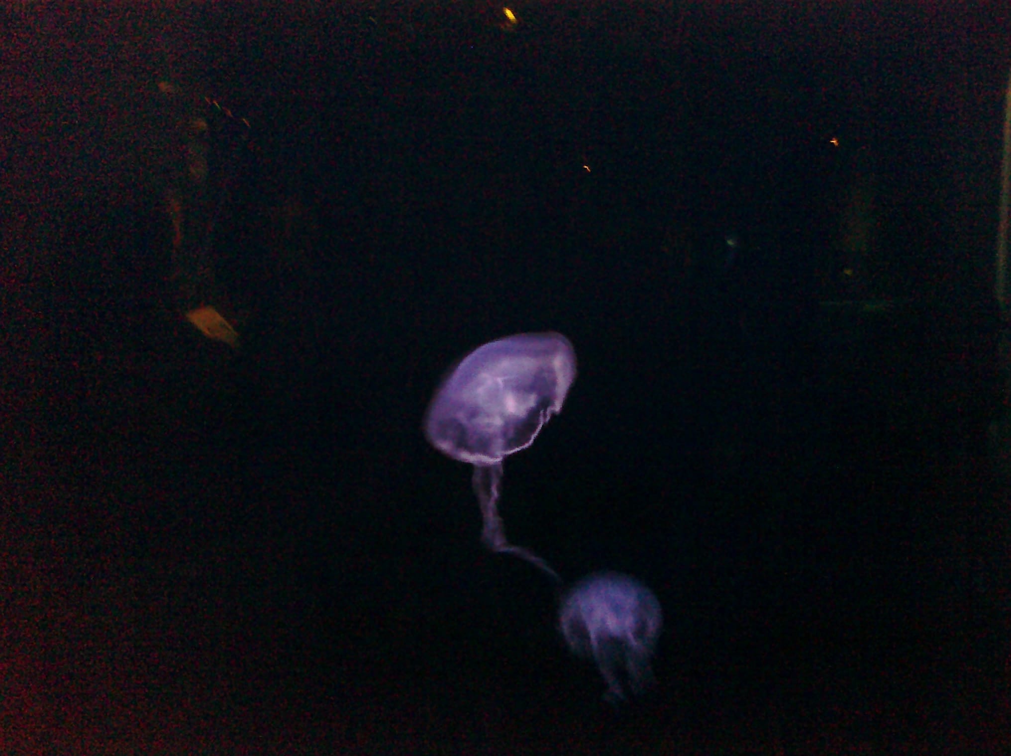 CIMG0097