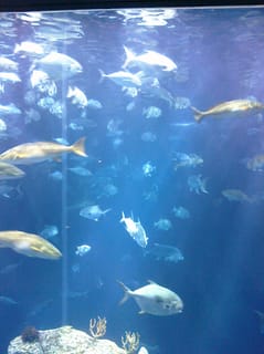 CIMG0108