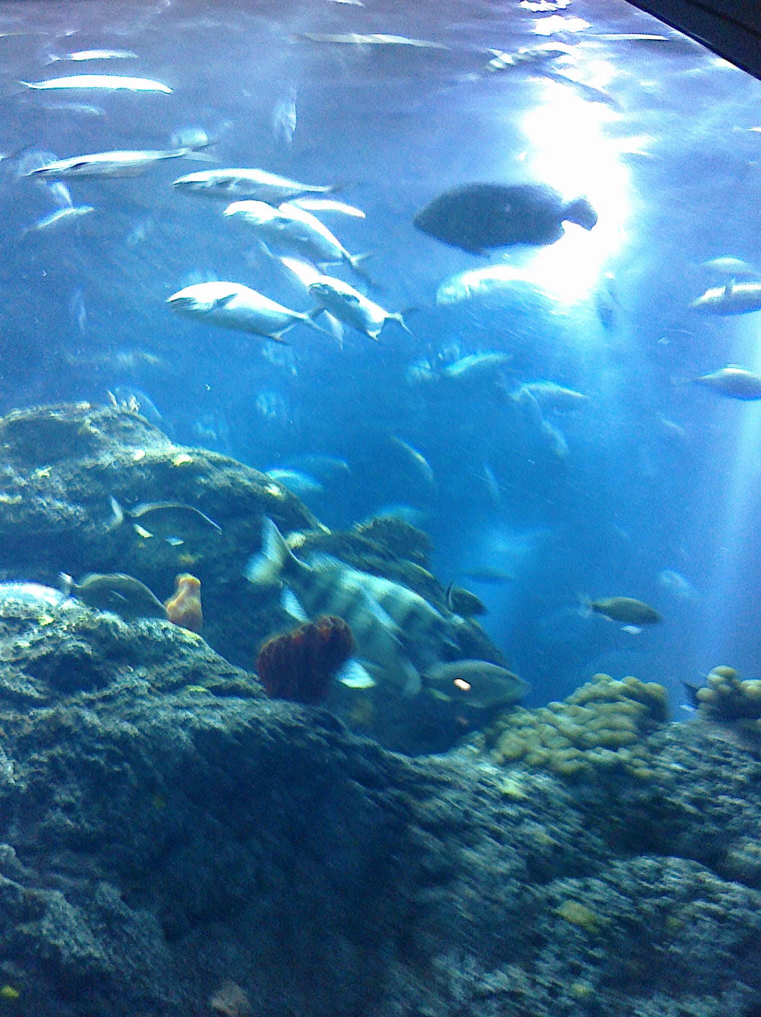 CIMG0113