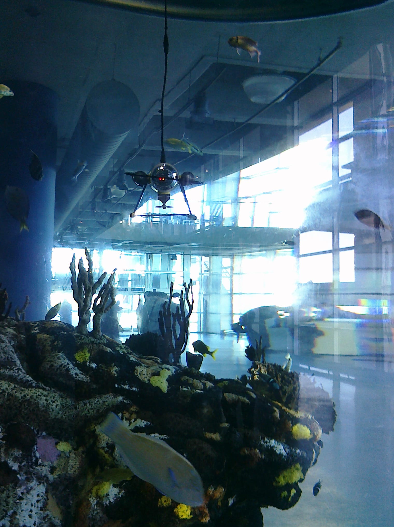 Submarine - Charleston Aquarium