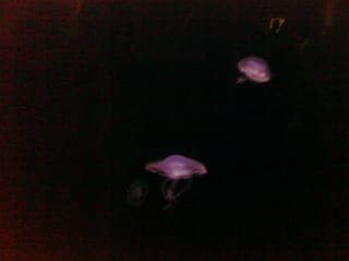 CIMG0099