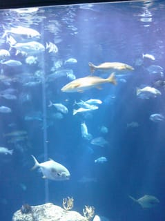 CIMG0107