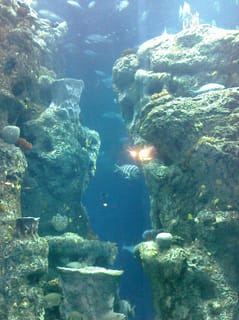 CIMG0112
