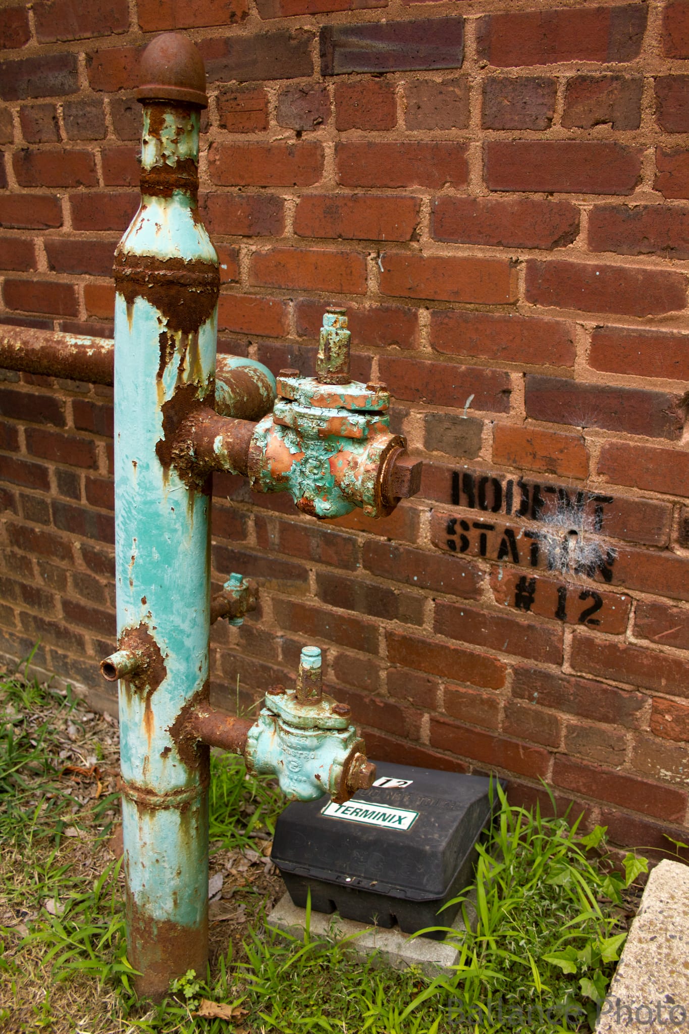 Southend Photo Walk (22 of 49)