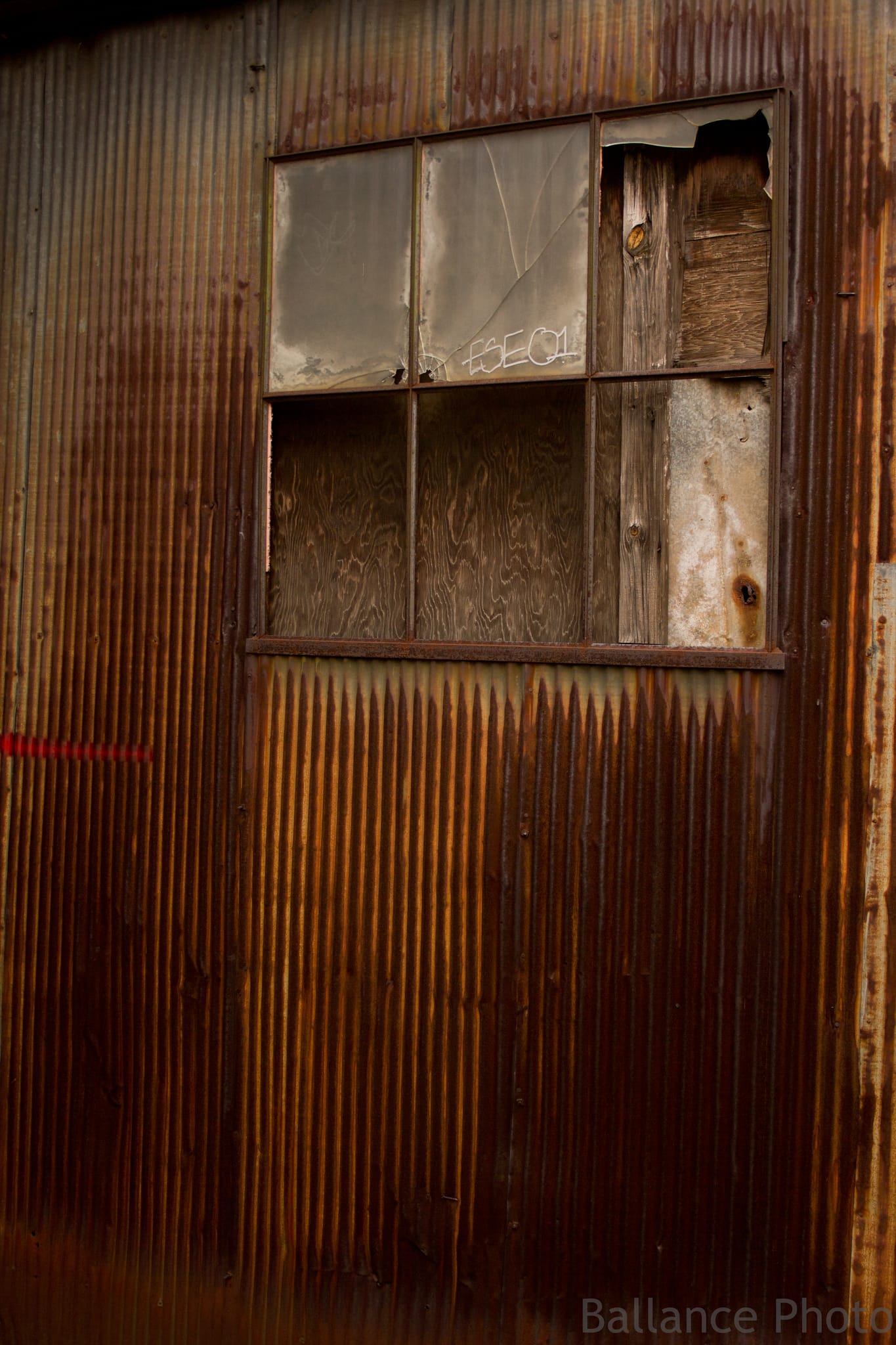 Southend Photo Walk (31 of 49)