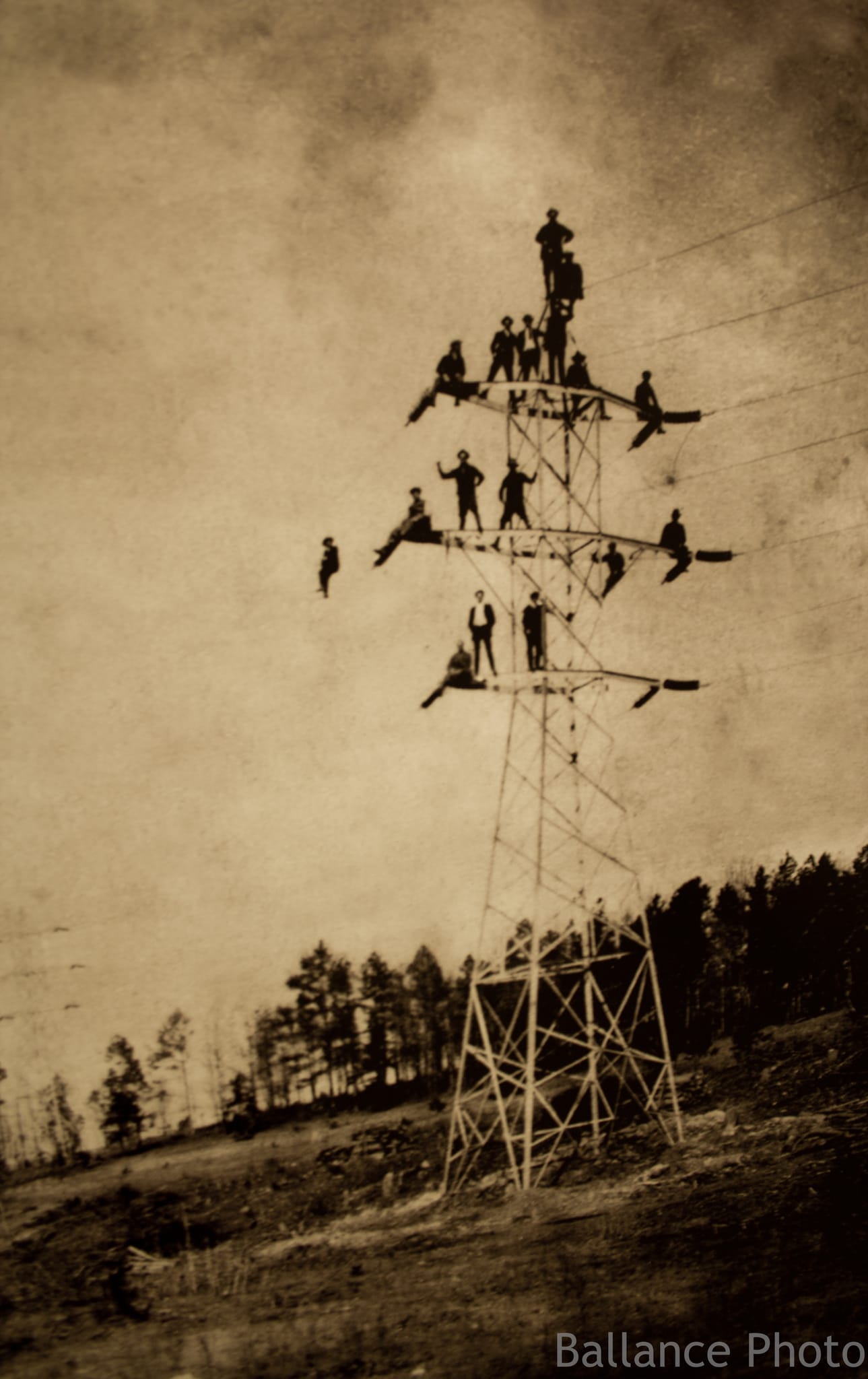 Birds on a Wire - Levine Museum of the New South (20 of 20)