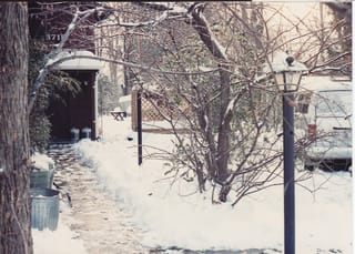 The one time a snow shovel was used that decade.