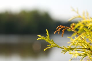 Fixed Lens Shoot-4