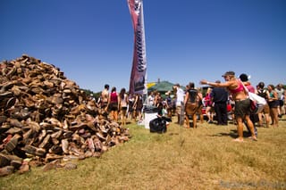 Warrior Dash 2011-8802