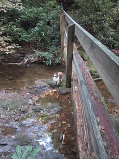 South Mountain with Roxy (6 of 7)