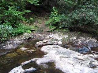 South Mountain with Roxy (3 of 7)