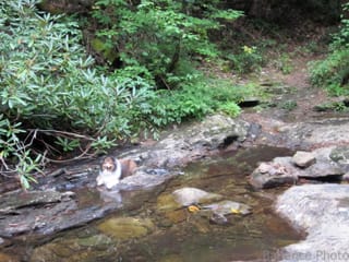 South Mountain with Roxy (4 of 7)